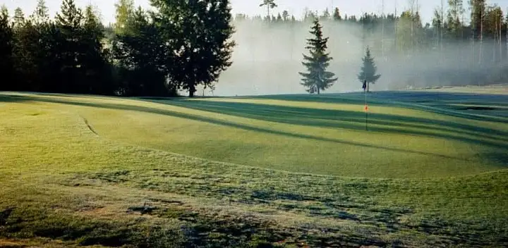 Aamusumu nousee väylältä ja viheriöltä, aurinko valaisee kuusten latvat
