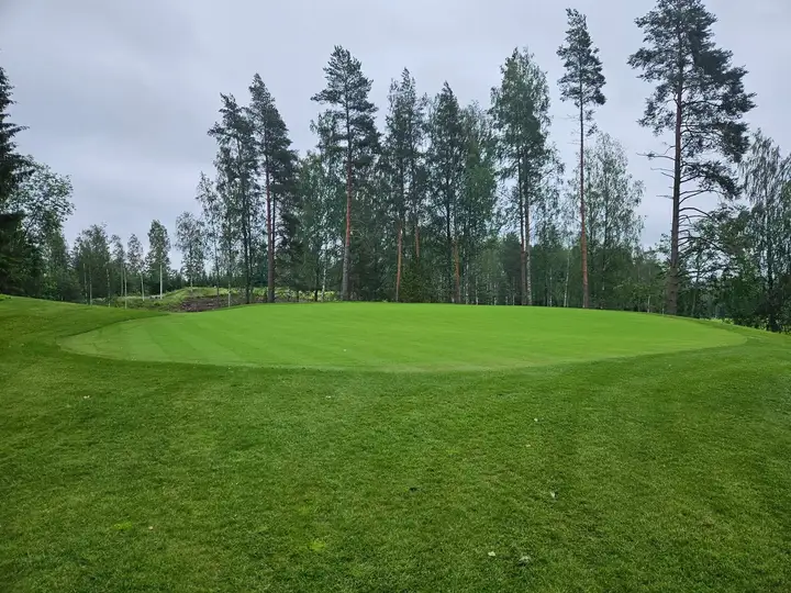 Kumpuileva viheriö korkeiden mäntyjen ja koivujen ympäröimänä